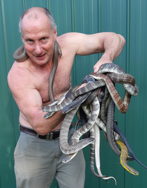snake handler Raymond Hoser