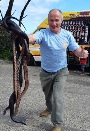 snake handler with snakes
