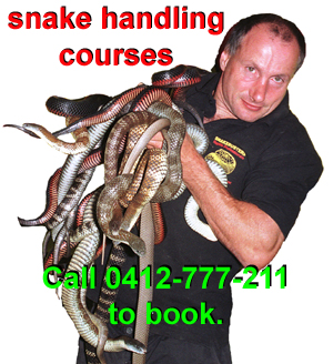 Venomous snake handling courses Snake catching courses